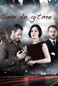 Ты не уходи (сериал 2011)